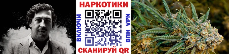 Где купить Болгар Канабис  COCAIN  Гашиш  A PVP  Галлюциногенные грибы  Кетамин  Меф 