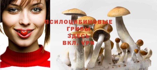 соль курить ск Алексин