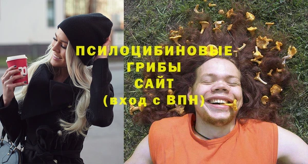 дурь Алексеевка