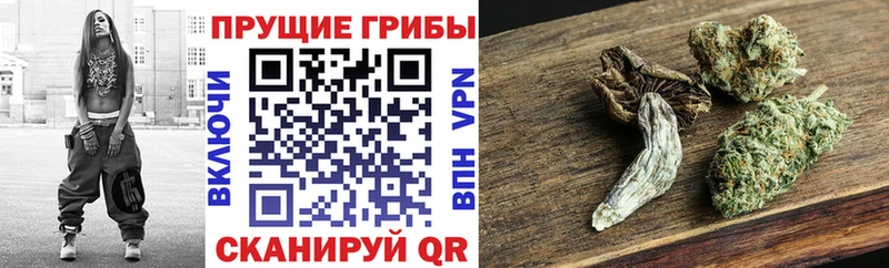 Галлюциногенные грибы Magic Shrooms  где можно купить наркотик  Болгар 